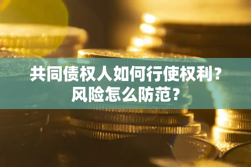北京共同债权人如何行使权利？风险怎么防范？